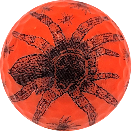 Tarantula.500.w