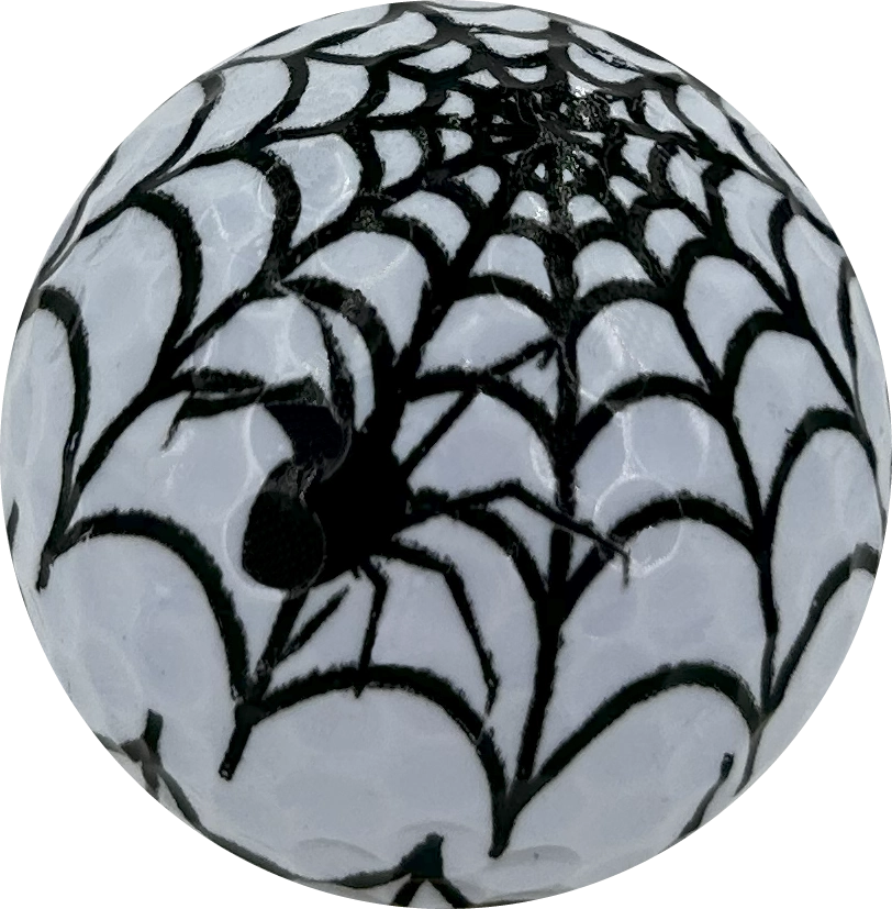 Spider Web 3