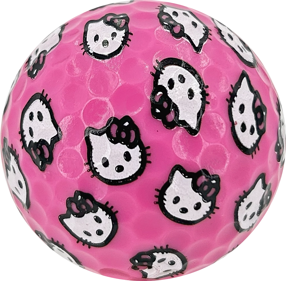 Hey Kitty_Picture